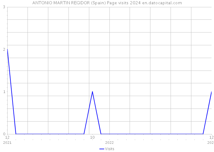 ANTONIO MARTIN REGIDOR (Spain) Page visits 2024 
