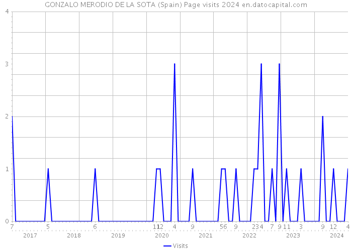 GONZALO MERODIO DE LA SOTA (Spain) Page visits 2024 