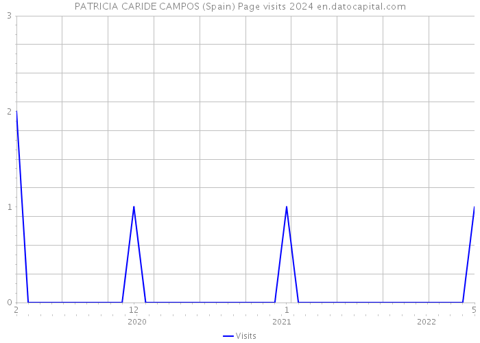 PATRICIA CARIDE CAMPOS (Spain) Page visits 2024 