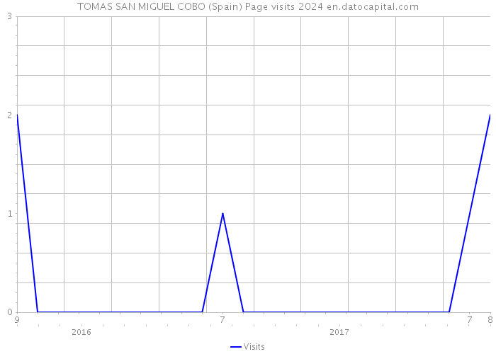 TOMAS SAN MIGUEL COBO (Spain) Page visits 2024 