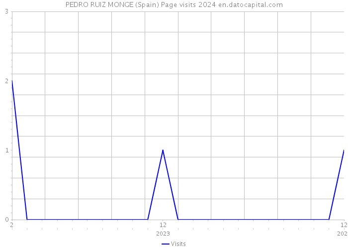 PEDRO RUIZ MONGE (Spain) Page visits 2024 