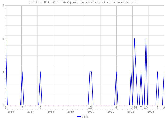 VICTOR HIDALGO VEGA (Spain) Page visits 2024 
