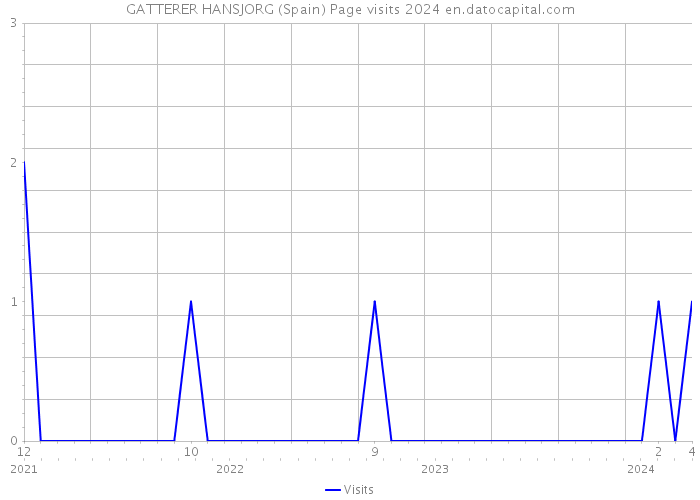 GATTERER HANSJORG (Spain) Page visits 2024 