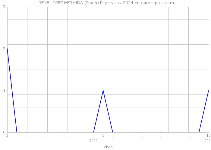 IRENE LOPEZ HERMIDA (Spain) Page visits 2024 