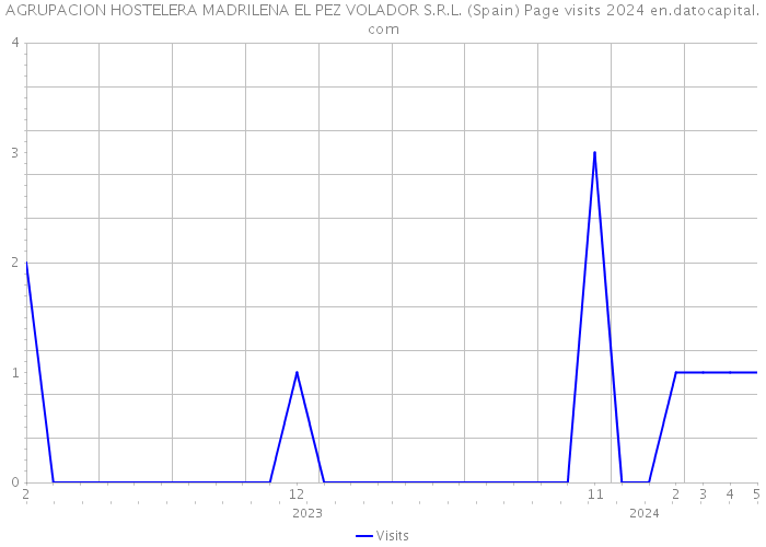 AGRUPACION HOSTELERA MADRILENA EL PEZ VOLADOR S.R.L. (Spain) Page visits 2024 