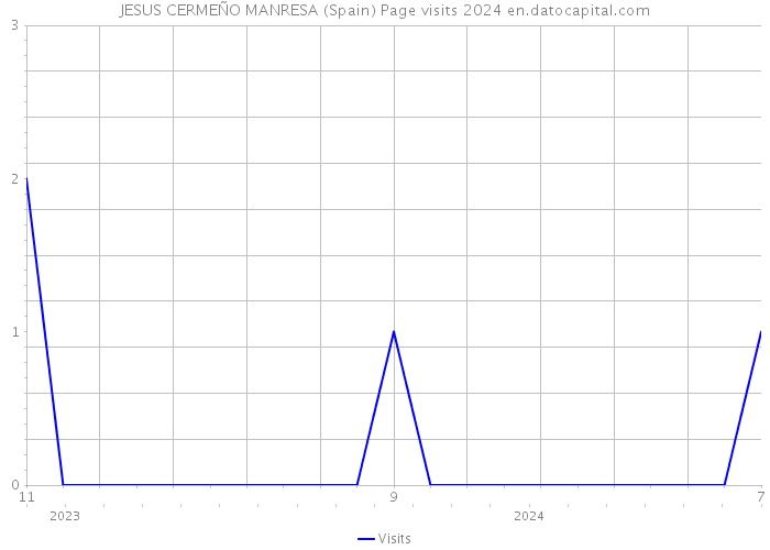 JESUS CERMEÑO MANRESA (Spain) Page visits 2024 