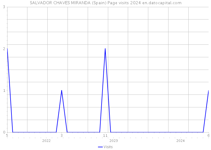 SALVADOR CHAVES MIRANDA (Spain) Page visits 2024 