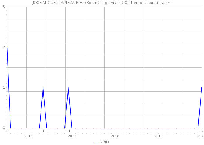 JOSE MIGUEL LAPIEZA BIEL (Spain) Page visits 2024 