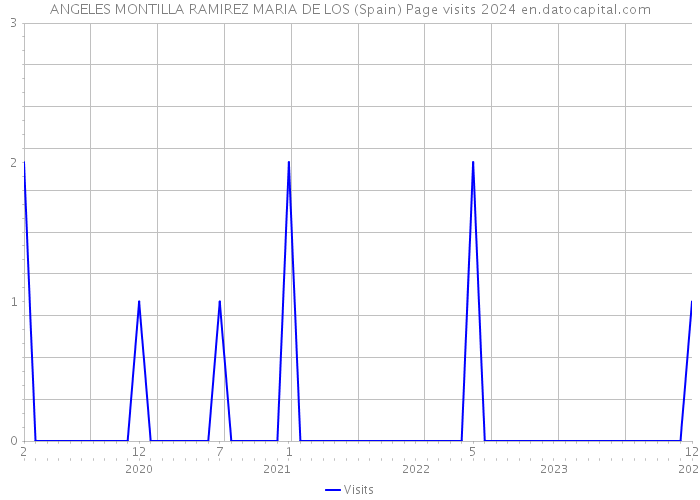 ANGELES MONTILLA RAMIREZ MARIA DE LOS (Spain) Page visits 2024 