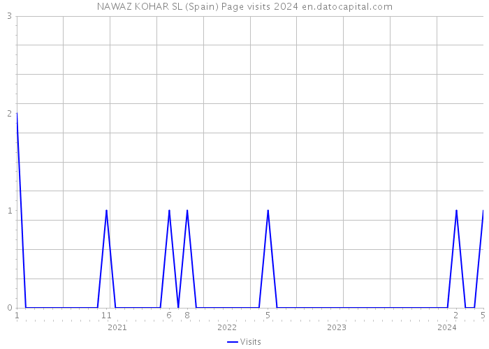 NAWAZ KOHAR SL (Spain) Page visits 2024 
