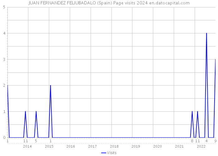 JUAN FERNANDEZ FELIUBADALO (Spain) Page visits 2024 