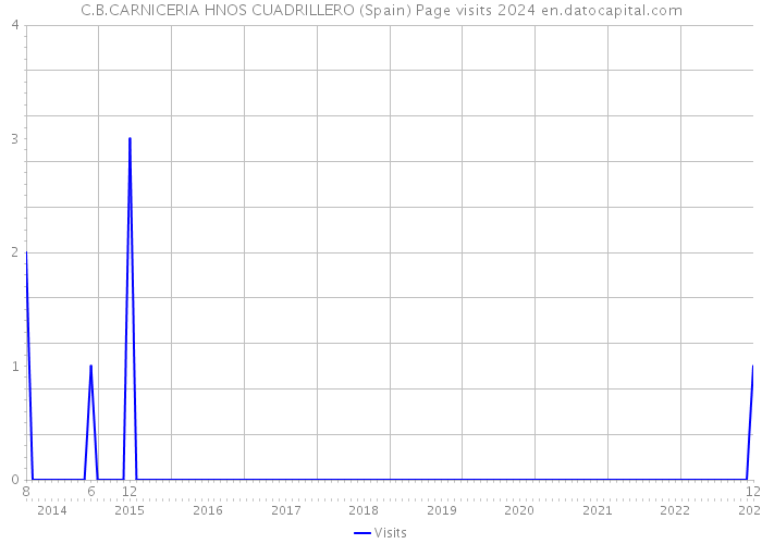 C.B.CARNICERIA HNOS CUADRILLERO (Spain) Page visits 2024 