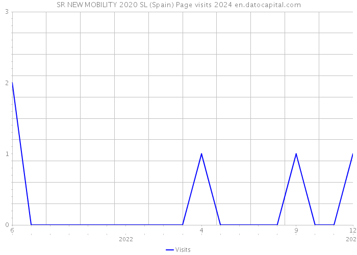 SR NEW MOBILITY 2020 SL (Spain) Page visits 2024 