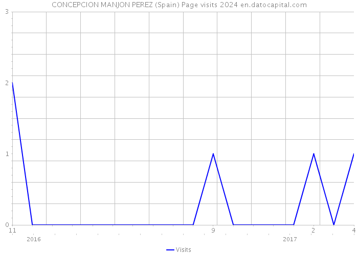 CONCEPCION MANJON PEREZ (Spain) Page visits 2024 