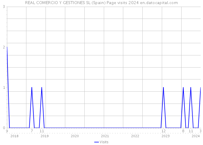 REAL COMERCIO Y GESTIONES SL (Spain) Page visits 2024 