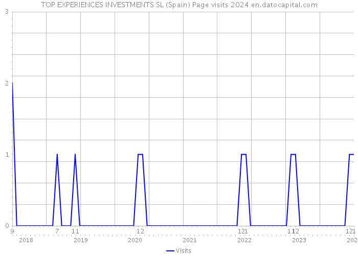 TOP EXPERIENCES INVESTMENTS SL (Spain) Page visits 2024 