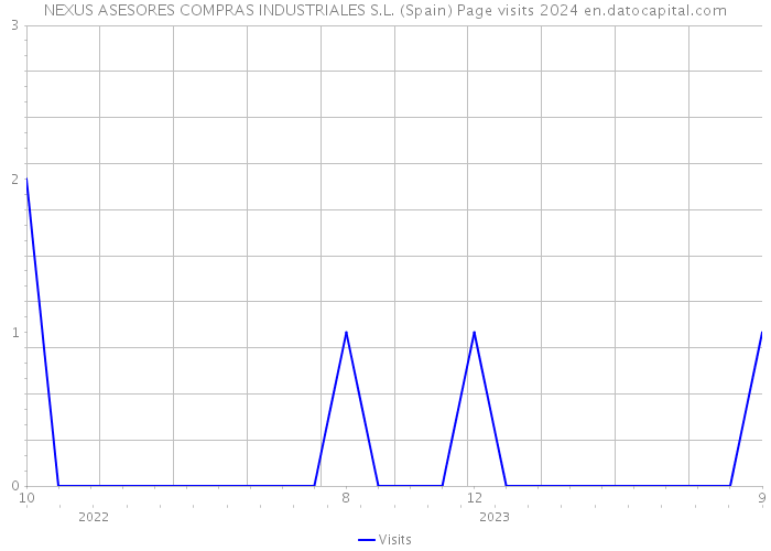 NEXUS ASESORES COMPRAS INDUSTRIALES S.L. (Spain) Page visits 2024 