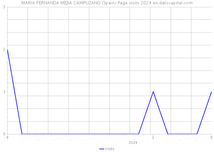 MARIA FERNANDA MEJIA CAMPUZANO (Spain) Page visits 2024 