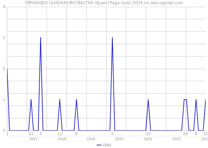FERNANDO GUADAMURO BALTAR (Spain) Page visits 2024 
