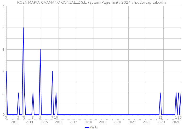 ROSA MARIA CAAMANO GONZALEZ S.L. (Spain) Page visits 2024 
