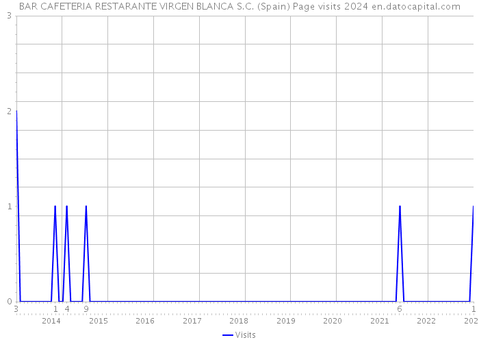 BAR CAFETERIA RESTARANTE VIRGEN BLANCA S.C. (Spain) Page visits 2024 