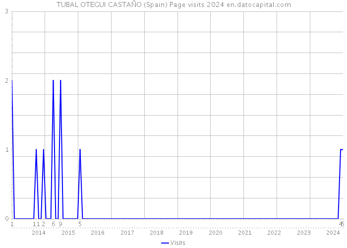 TUBAL OTEGUI CASTAÑO (Spain) Page visits 2024 