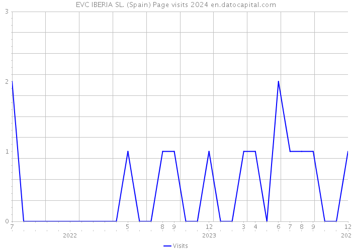 EVC IBERIA SL. (Spain) Page visits 2024 