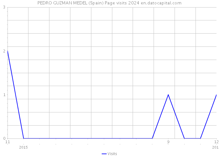 PEDRO GUZMAN MEDEL (Spain) Page visits 2024 