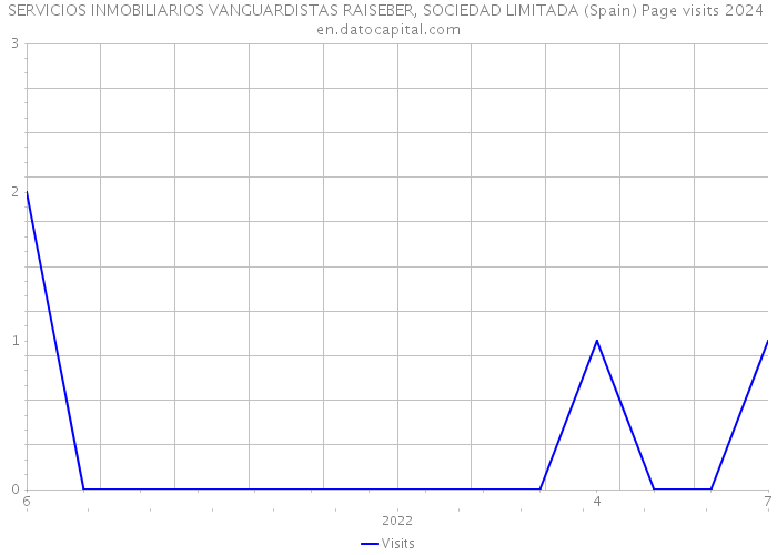 SERVICIOS INMOBILIARIOS VANGUARDISTAS RAISEBER, SOCIEDAD LIMITADA (Spain) Page visits 2024 