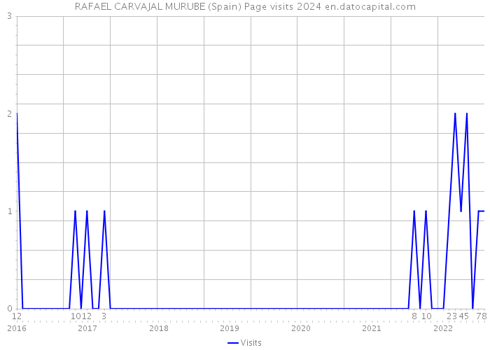 RAFAEL CARVAJAL MURUBE (Spain) Page visits 2024 