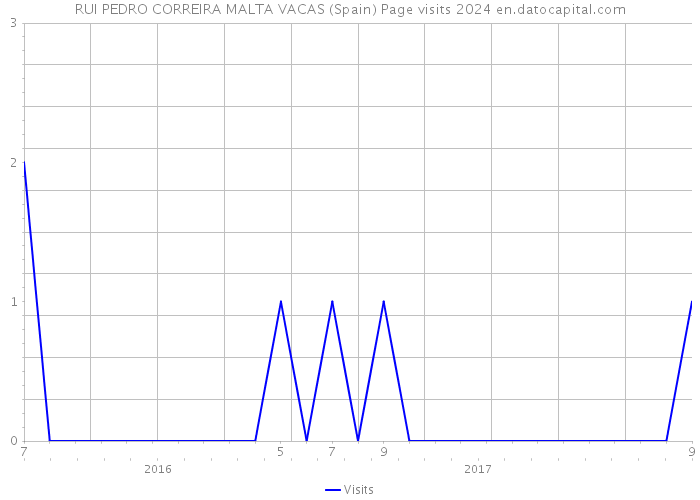 RUI PEDRO CORREIRA MALTA VACAS (Spain) Page visits 2024 