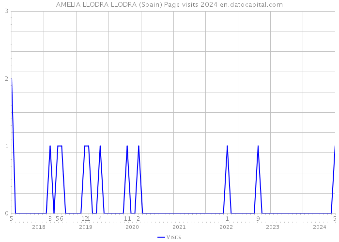 AMELIA LLODRA LLODRA (Spain) Page visits 2024 