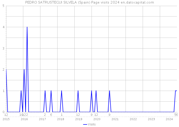 PEDRO SATRUSTEGUI SILVELA (Spain) Page visits 2024 