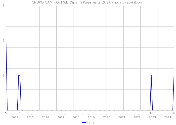 GRUPO GAM KOKI S.L. (Spain) Page visits 2024 