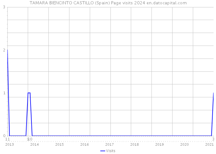 TAMARA BIENCINTO CASTILLO (Spain) Page visits 2024 