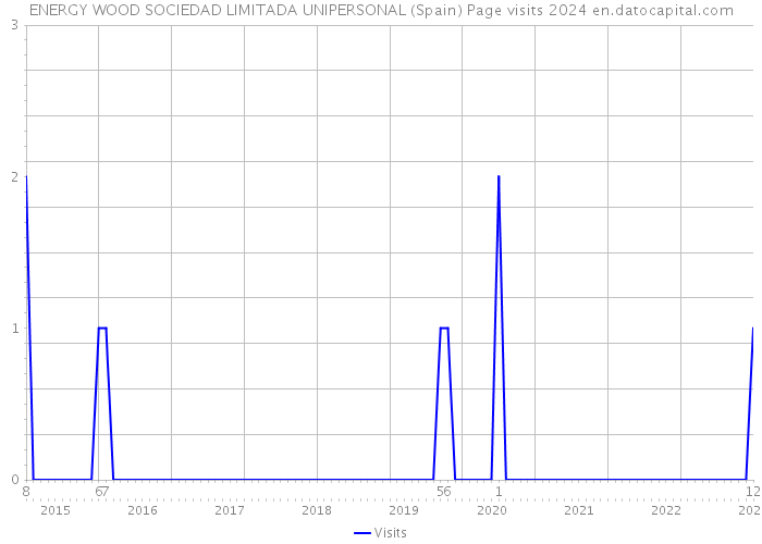 ENERGY WOOD SOCIEDAD LIMITADA UNIPERSONAL (Spain) Page visits 2024 