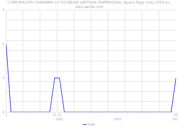 CORPORACIÓN CAMARMA XXI SOCIEDAD LIMITADA UNIPERSONAL (Spain) Page visits 2024 