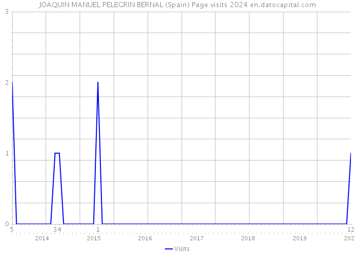 JOAQUIN MANUEL PELEGRIN BERNAL (Spain) Page visits 2024 