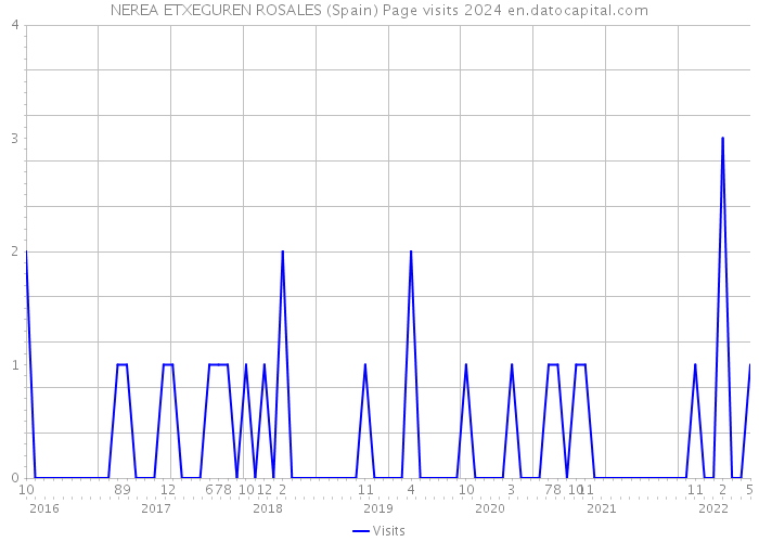 NEREA ETXEGUREN ROSALES (Spain) Page visits 2024 
