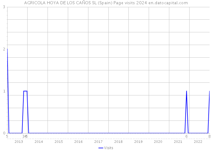 AGRICOLA HOYA DE LOS CAÑOS SL (Spain) Page visits 2024 