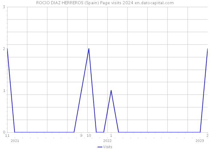 ROCIO DIAZ HERREROS (Spain) Page visits 2024 