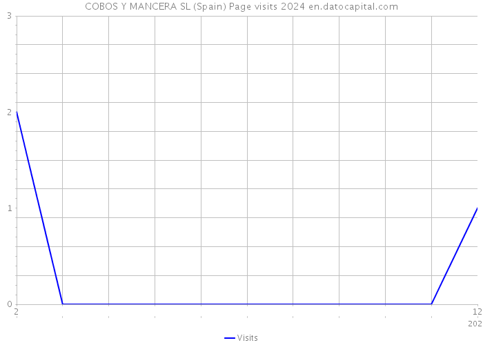 COBOS Y MANCERA SL (Spain) Page visits 2024 