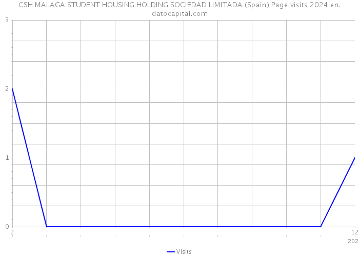 CSH MALAGA STUDENT HOUSING HOLDING SOCIEDAD LIMITADA (Spain) Page visits 2024 