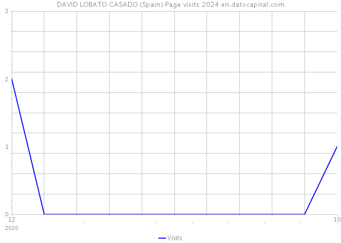 DAVID LOBATO CASADO (Spain) Page visits 2024 