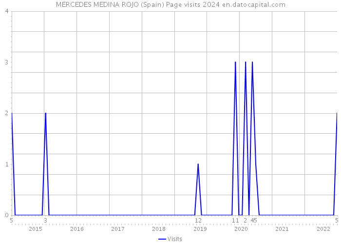 MERCEDES MEDINA ROJO (Spain) Page visits 2024 
