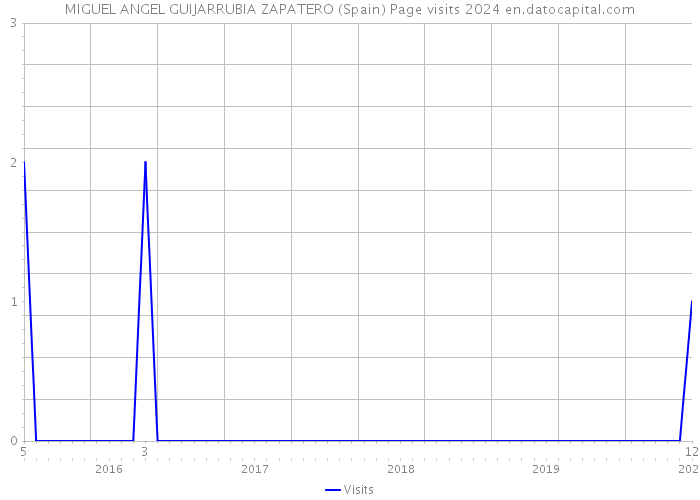 MIGUEL ANGEL GUIJARRUBIA ZAPATERO (Spain) Page visits 2024 