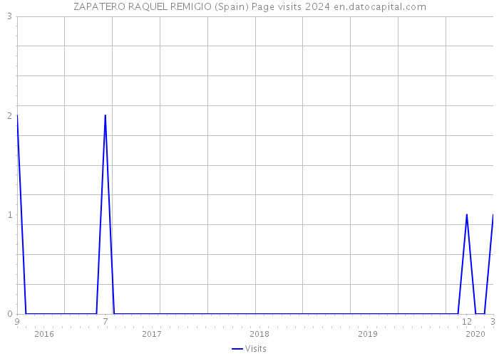 ZAPATERO RAQUEL REMIGIO (Spain) Page visits 2024 