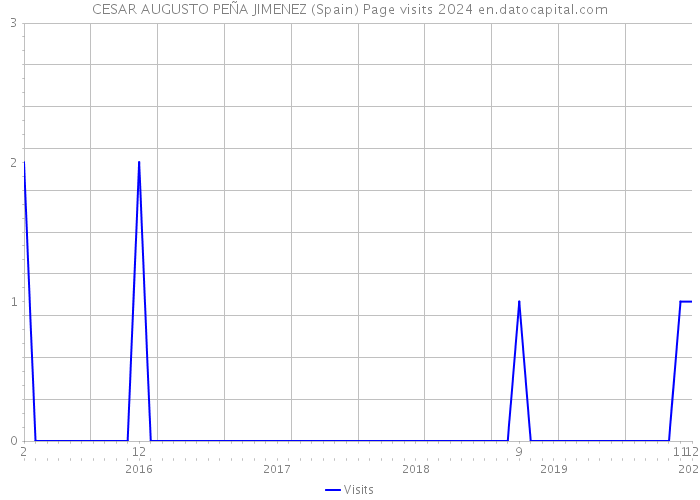 CESAR AUGUSTO PEÑA JIMENEZ (Spain) Page visits 2024 