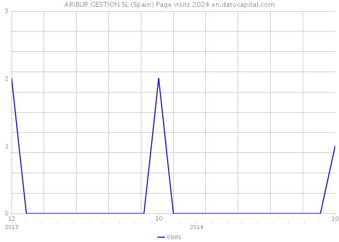 ARIBUR GESTION SL (Spain) Page visits 2024 