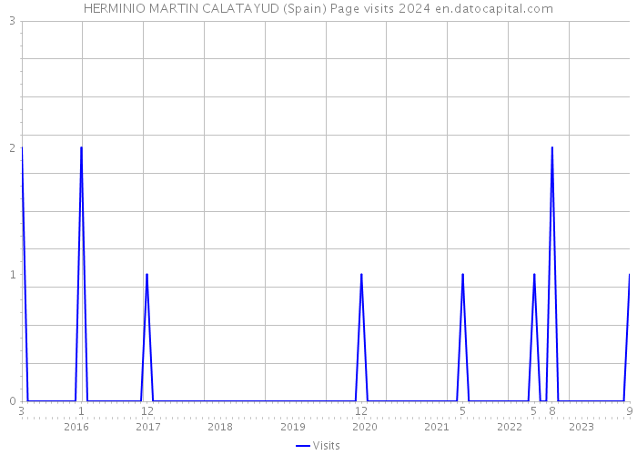 HERMINIO MARTIN CALATAYUD (Spain) Page visits 2024 